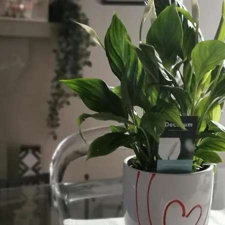 Privilege Dior Apartamento Florença